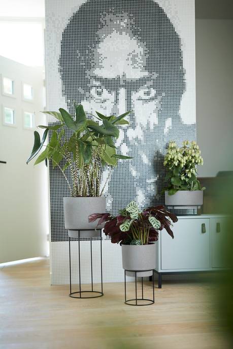 b.for studio coupe 30cm living ciment